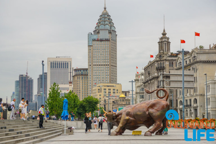 Shanghai Bull, 24 Hours in Shanghai, China, Uncontained Life