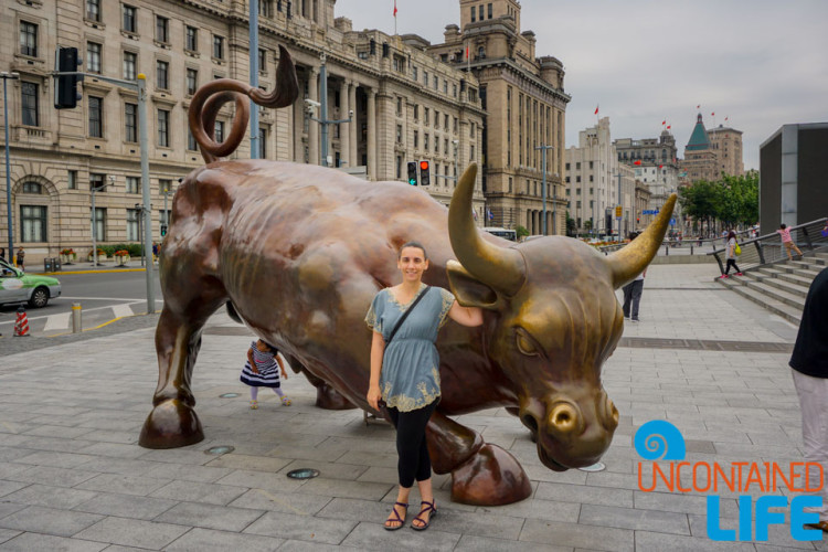 Bull Statue, 24 Hours in Shanghai, China, Uncontained Life