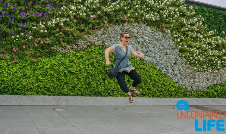 Flower Wall, 24 Hours in Shanghai, China, Uncontained Life