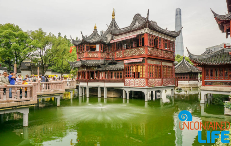 Huxinting Teahouse, 24 Hours in Shanghai, China, Uncontained Life