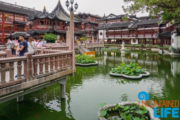 Nine Turnings Bridge, 24 Hours in Shanghai, China, Uncontained Life