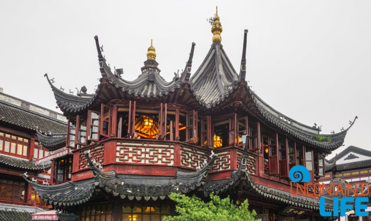 Tea House, 24 Hours in Shanghai, China, Uncontained Life