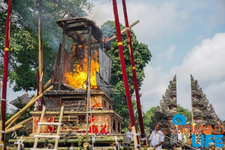 Human Cremation, Sacred Monkey Forest Sanctuary, Ubud, Bali, Indonesia, Uncontained Life