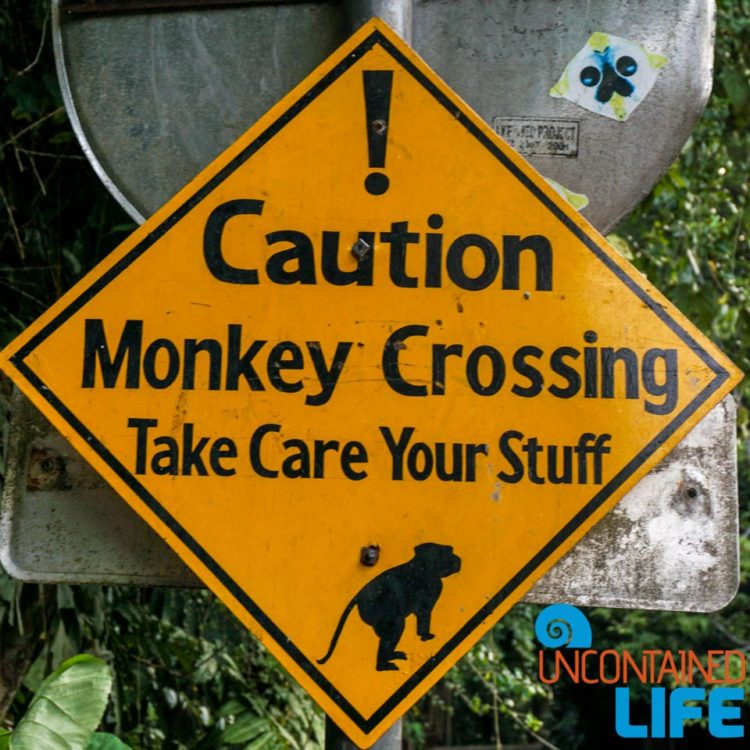 Sign, Sacred Monkey Forest Sanctuary, Ubud, Bali, Indonesia, Uncontained Life