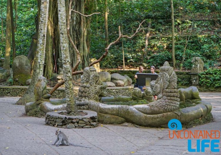 Sacred Monkey Forest Sanctuary, Ubud, Bali, Indonesia, Uncontained Life