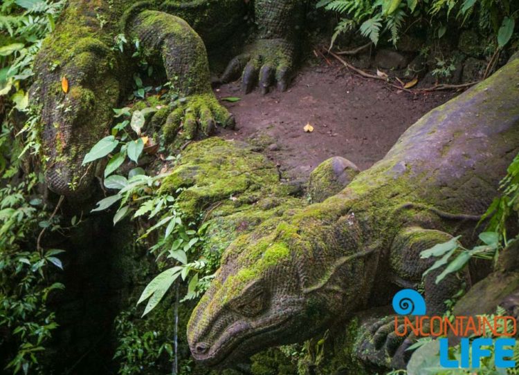 Lizard, Sacred Monkey Forest Sanctuary, Ubud, Bali, Indonesia, Uncontained Life