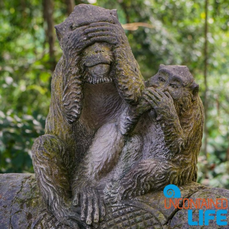 See No Evil, Speak No Evil, Sacred Monkey Forest Sanctuary, Ubud, Bali, Indonesia, Uncontained Life