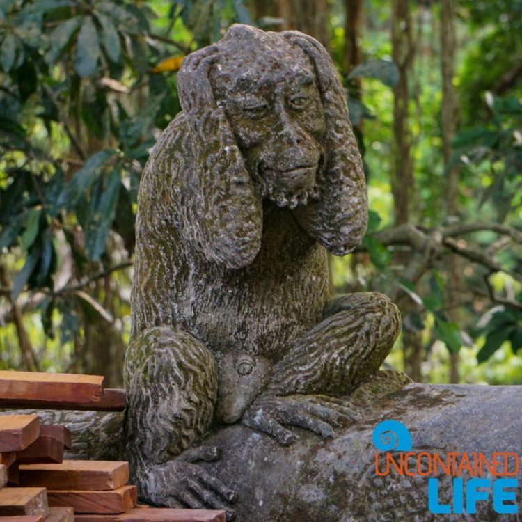 Hear No Evil, Sacred Monkey Forest Sanctuary, Ubud, Bali, Indonesia, Uncontained Life