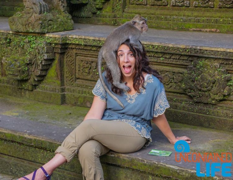 Hat, Sacred Monkey Forest Sanctuary, Ubud, Bali, Indonesia, Uncontained Life