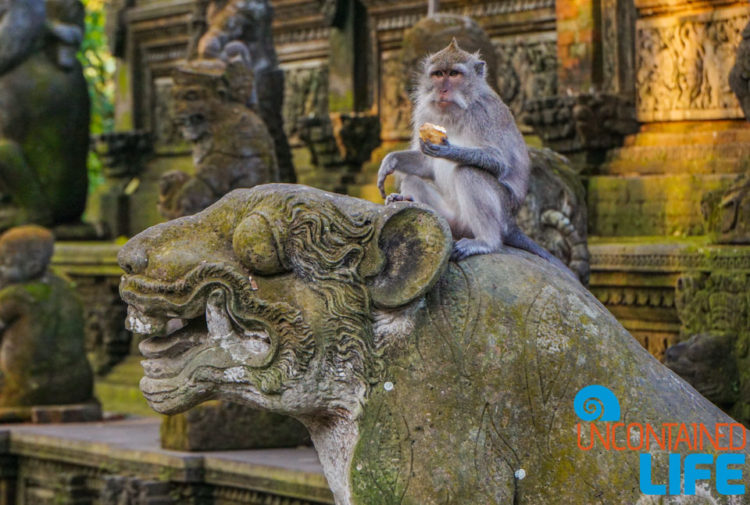 Statue, Sacred Monkey Forest Sanctuary, Ubud, Bali, Indonesia, Uncontained Life