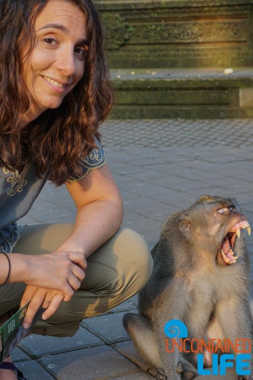 Yawn, Sacred Monkey Forest Sanctuary, Ubud, Bali, Indonesia, Uncontained Life