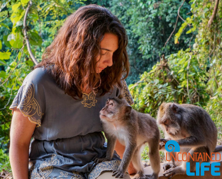 Sacred Monkey Forest Sanctuary, Ubud, Bali, Indonesia, Uncontained Life