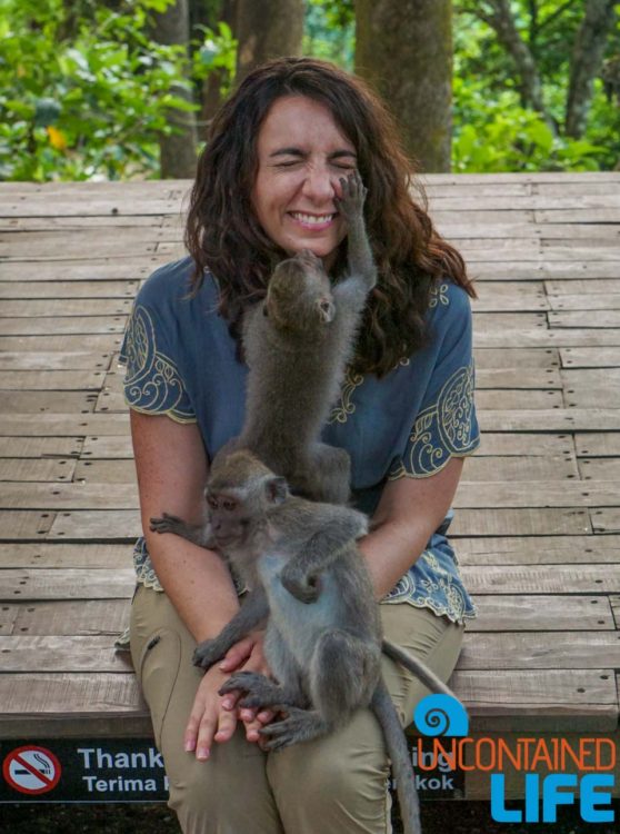 Sacred Monkey Forest Sanctuary, Ubud, Bali, Indonesia, Uncontained Life