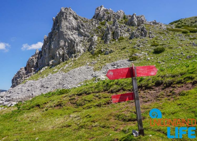 Sign, Places to visit in Bosnia and Herzegovina, Sutjeska National Park, Uncontained Life