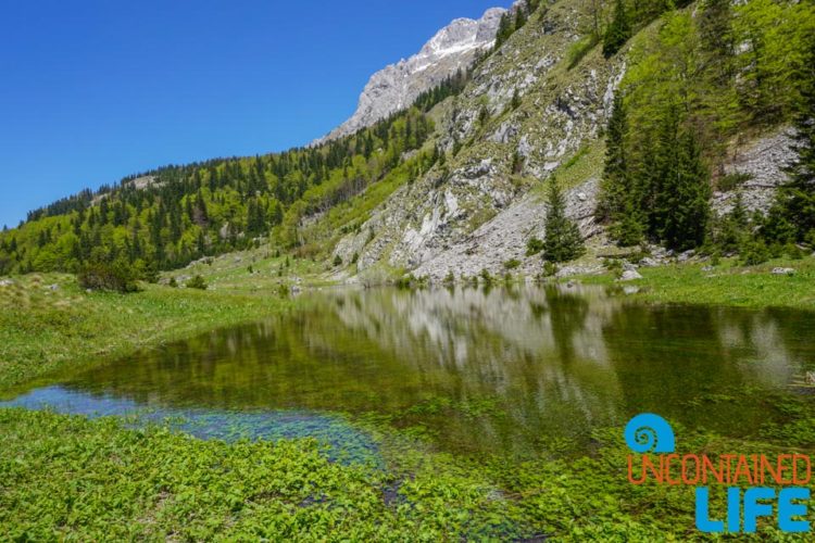 Pond, Places to visit in Bosnia and Herzegovina, Sutjeska National Park, Uncontained Life