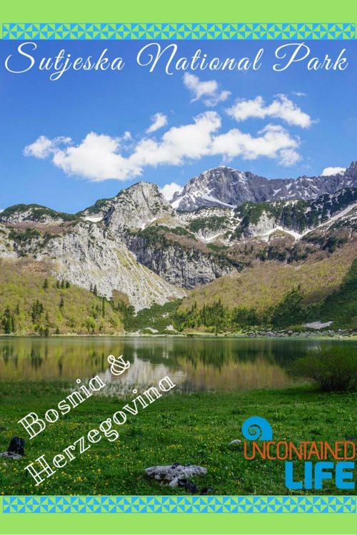 Sutjeska National Park, Bosnia & Herzegovina, Uncontained Life
