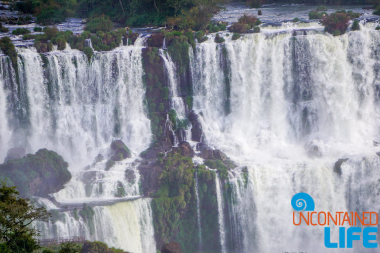 Iguazu Falls, Brazil, Uncontained Life