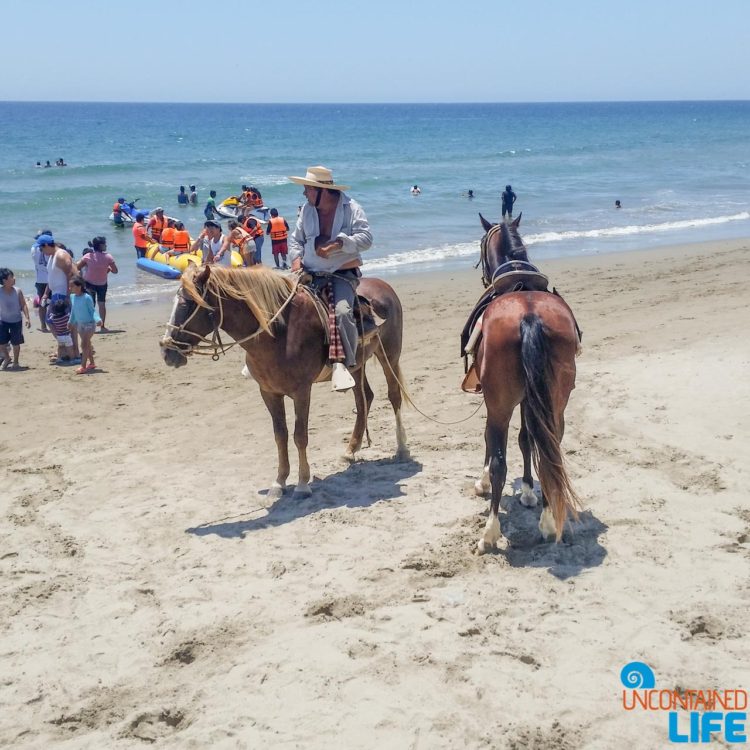 Beach, Horses, Visiting Mancora, Peru, Uncontained Life