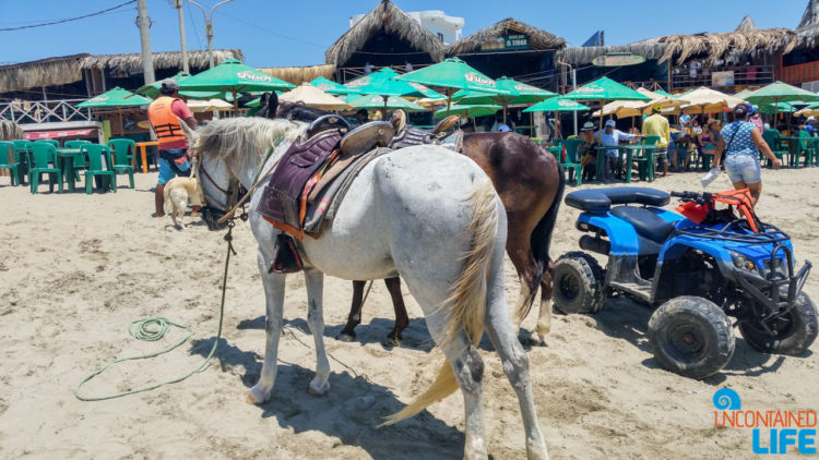 Tourist Beach, Horses, Visiting Mancora, Peru, Uncontained Life