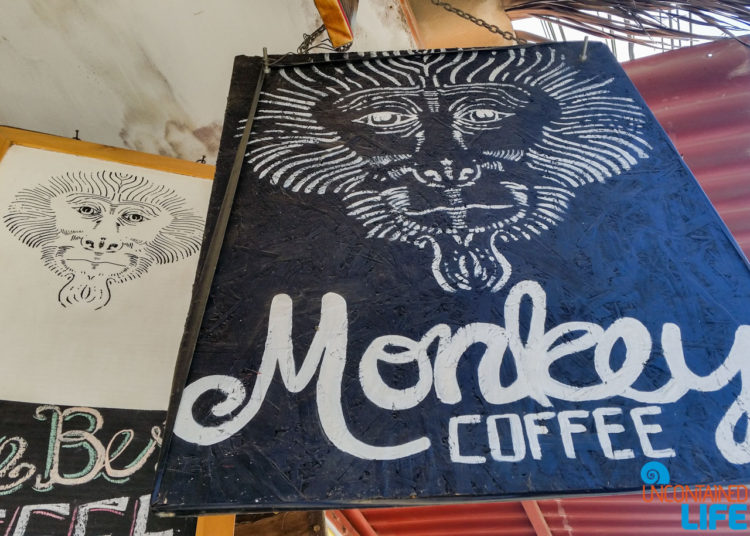 Monkey Coffee, Visiting Mancora, Peru, Uncontained Life