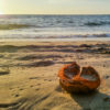 Visiting Mancora, Peru, Uncontained Life