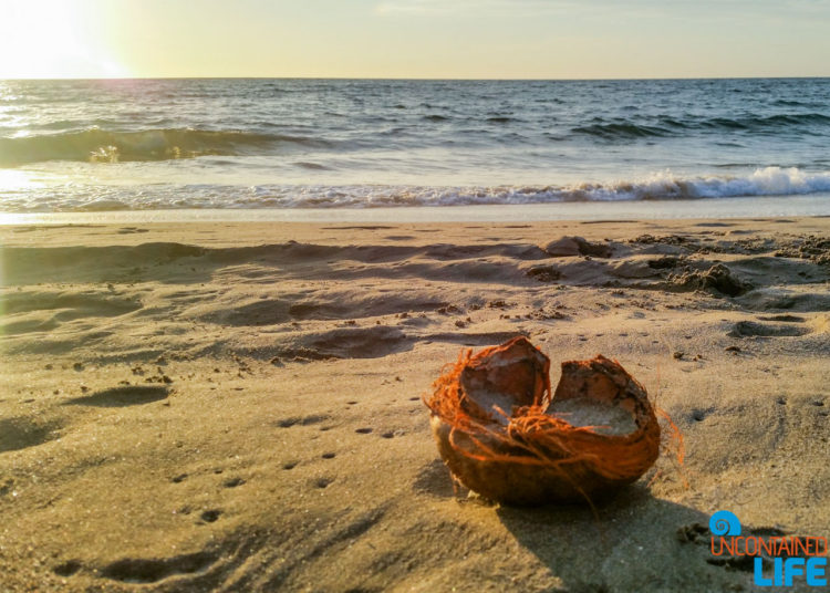 Coconut, Beach, Visiting Mancora, Peru, Uncontained Life