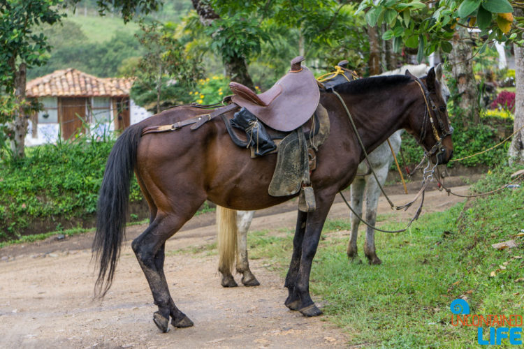 Horseback Riding in San Agustin, Colombia, Uncontained Life