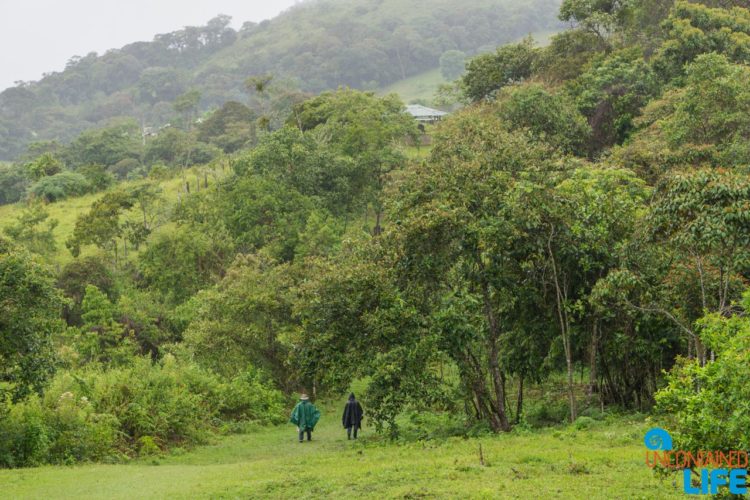 Horseback Riding in San Agustin, Colombia, Uncontained Life