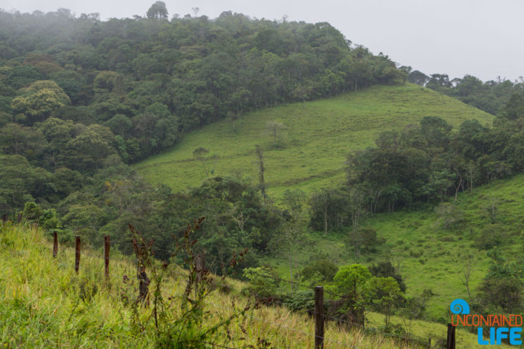 Hillside, Horseback Riding in San Agustin, Colombia, Uncontained Life