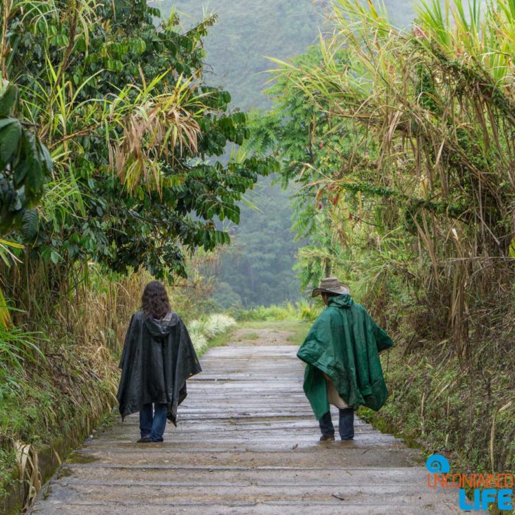 La Chaquira, Horseback Riding in San Agustin, Colombia, Uncontained Life