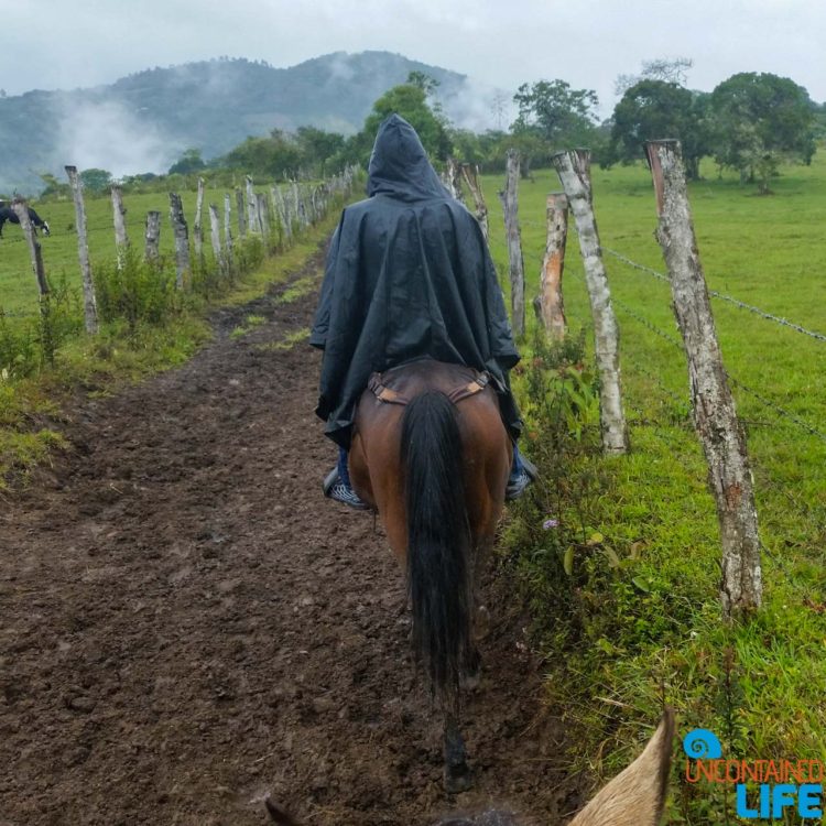 Fence, Horseback Riding in San Agustin, Colombia, Uncontained Life