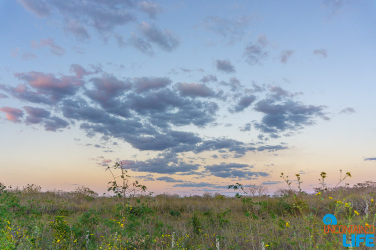 Going to Mexico, Uncontained Life