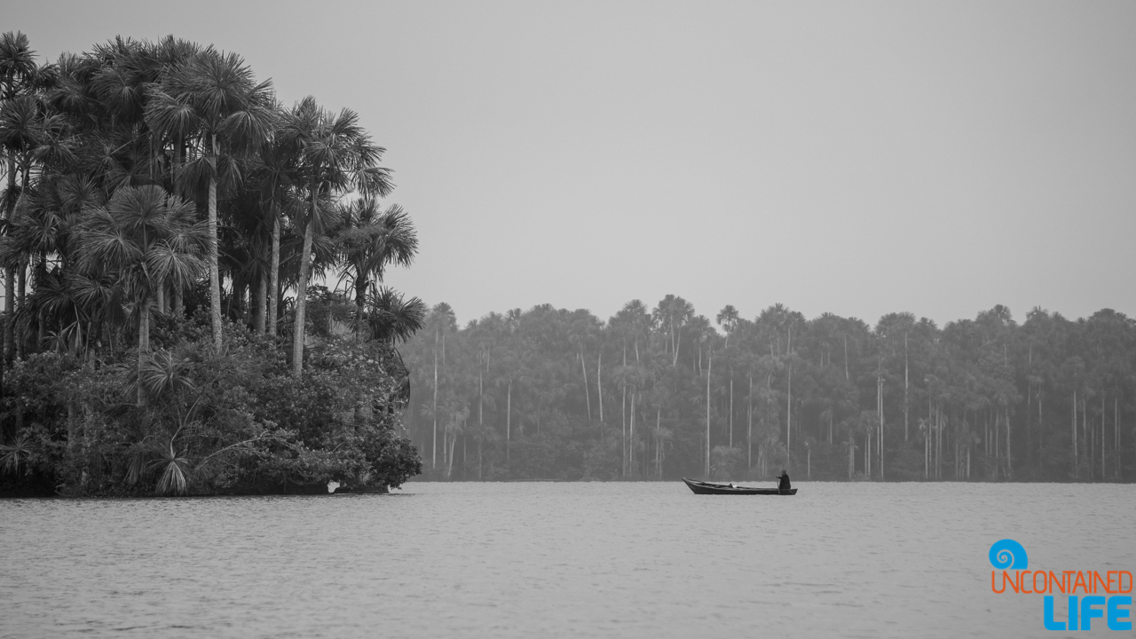 Visit to the Peruvian Amazon, Puerto Maldonado, Peru, Uncontained Life