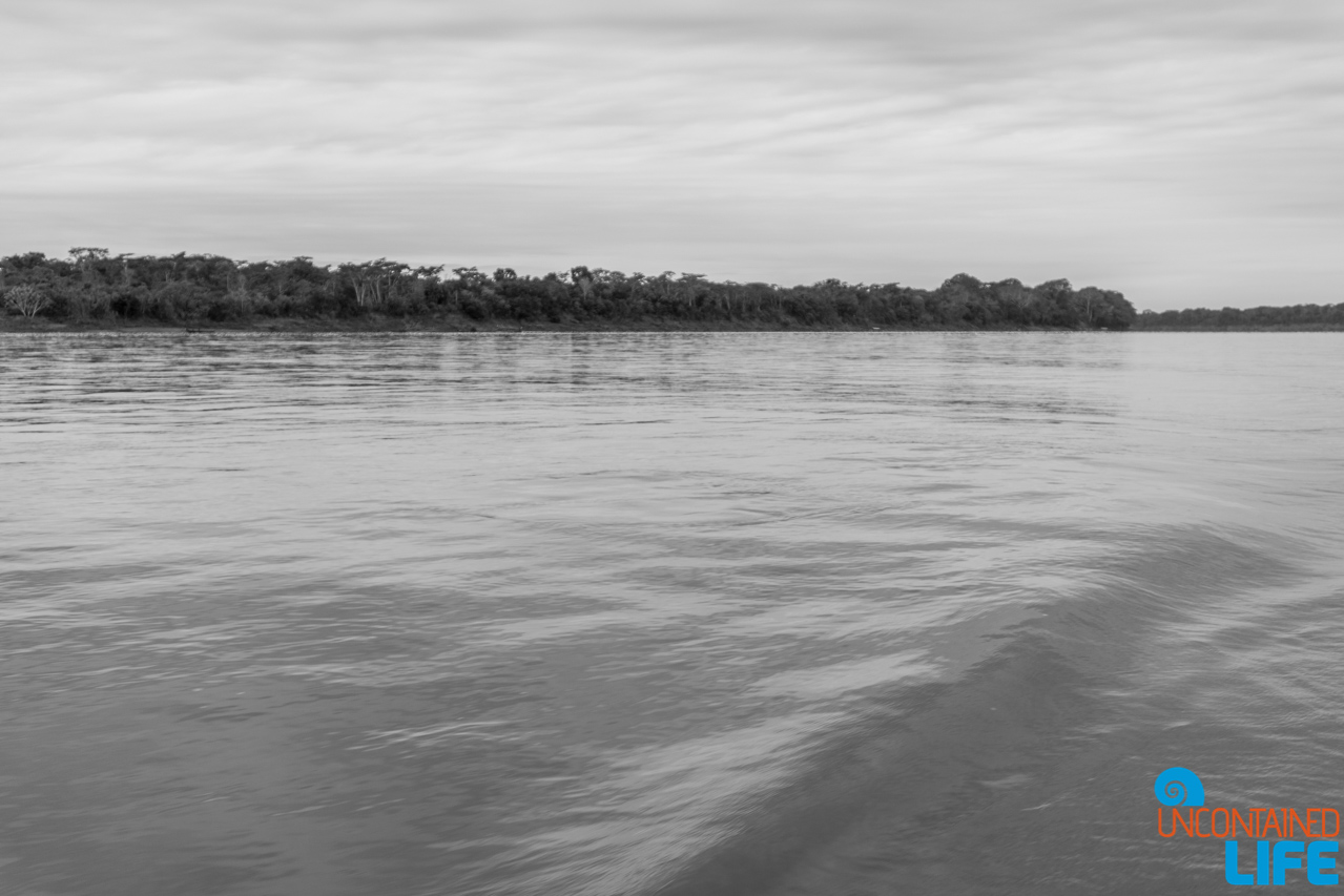 Amazon Basin, River, Visit to the Peruvian Amazon, Puerto Maldonado, Peru, Uncontained Life