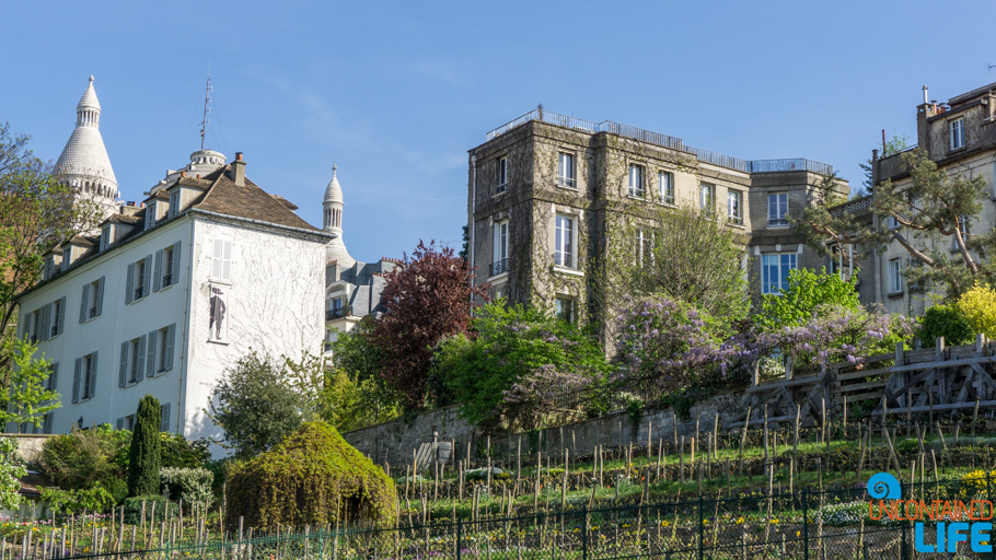 Amélie’s Montmartre, Paris, France, Uncontained Life