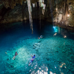 A Day of Cenote Hopping Near Merida, Mexico Yucatan cenotes, Merida, Mexico, Uncontained Life