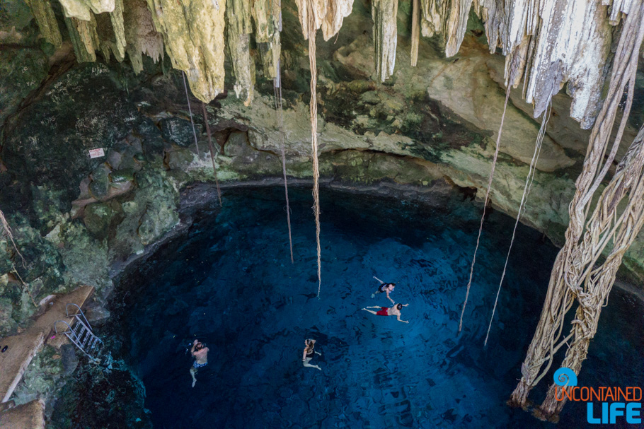 Yucatan cenotes, Merida, Mexico, Uncontained Life