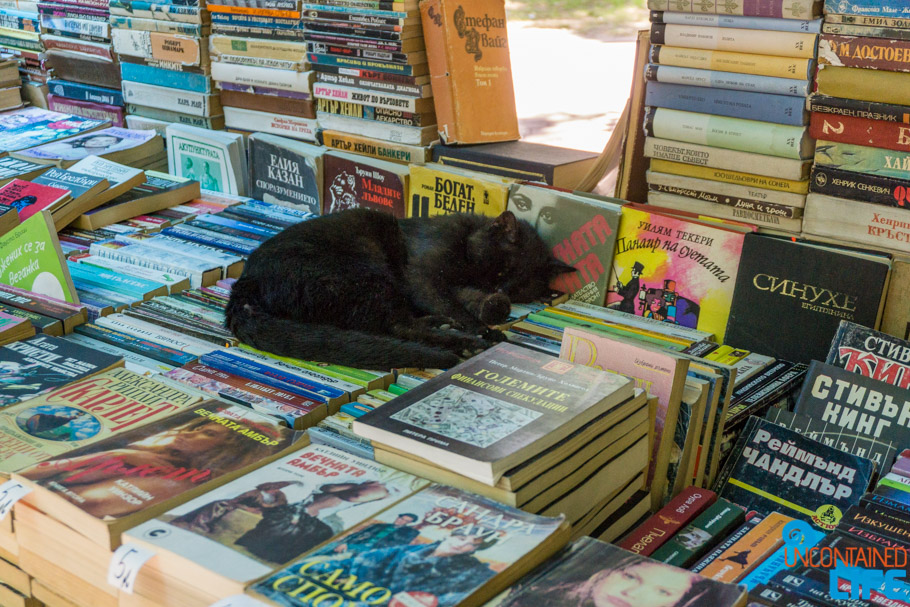 Cat, Used Books, Visit Varna, Bulgaria, Uncontained Life