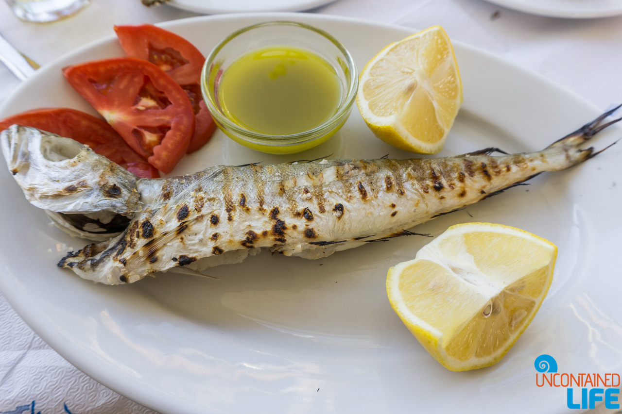 Fish, Visit Agistri, Greece, Uncontained Life