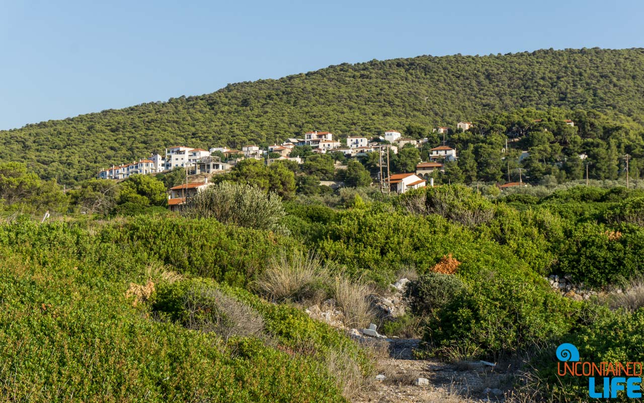 Green Foliage, Visit Agistri, Greece, Uncontained Life