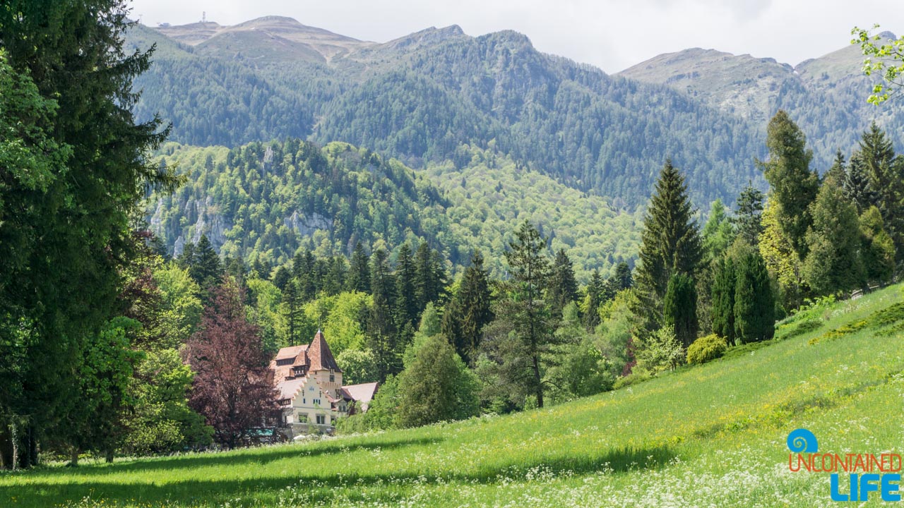 Road Trip through Transylvania, Romania, Uncontained Life