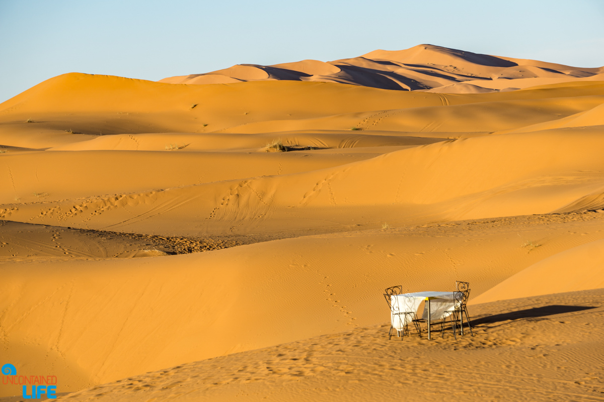 Visiting the Sahara Desert in Morocco, Uncontained Life