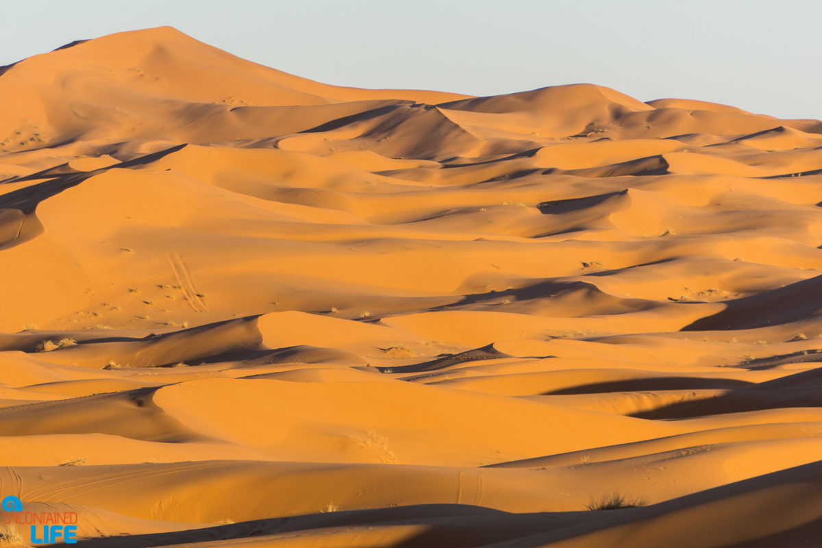 Dunes, Visiting the Sahara Desert in Morocco, Uncontained Life