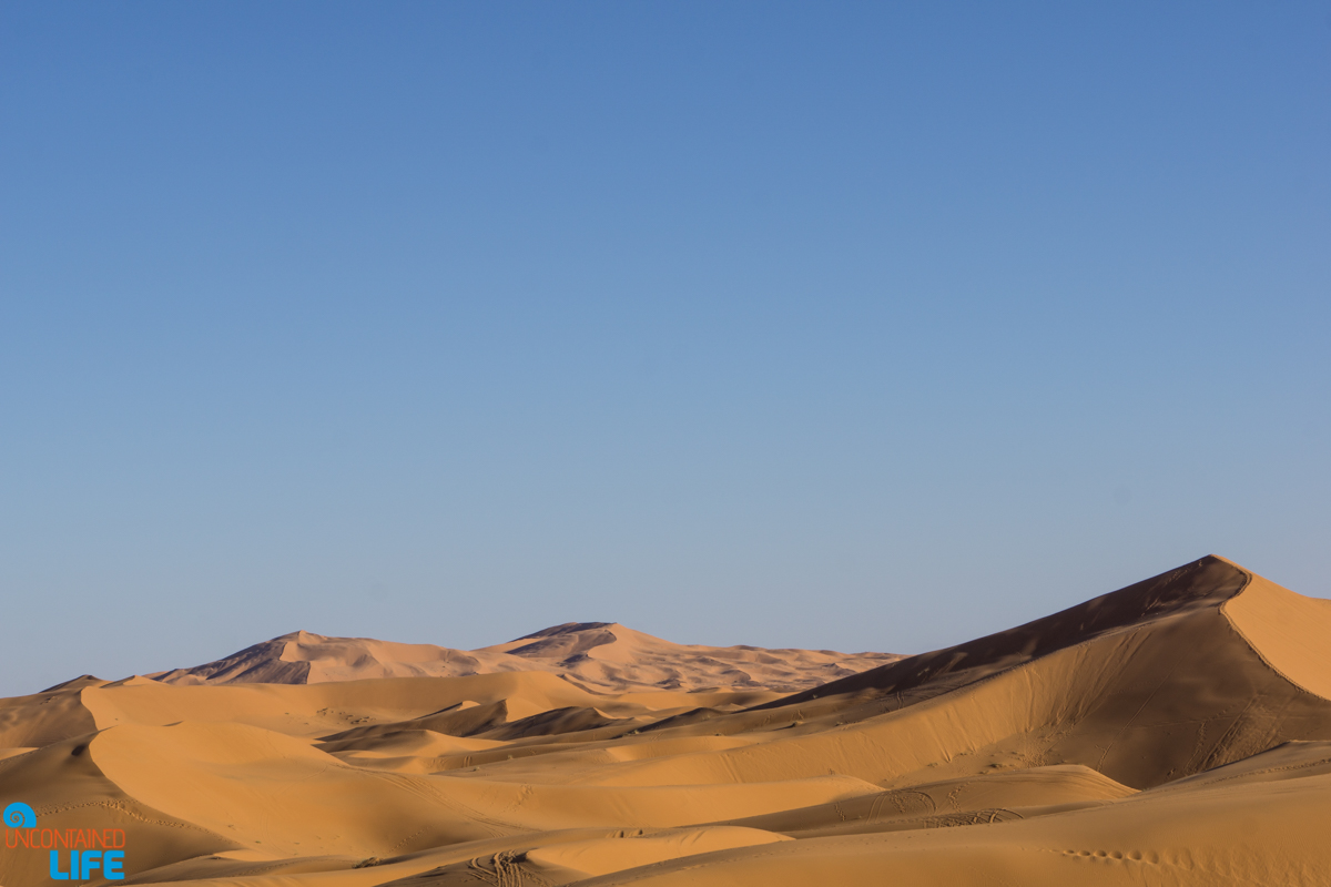 Visiting the Sahara Desert in Morocco, Uncontained Life