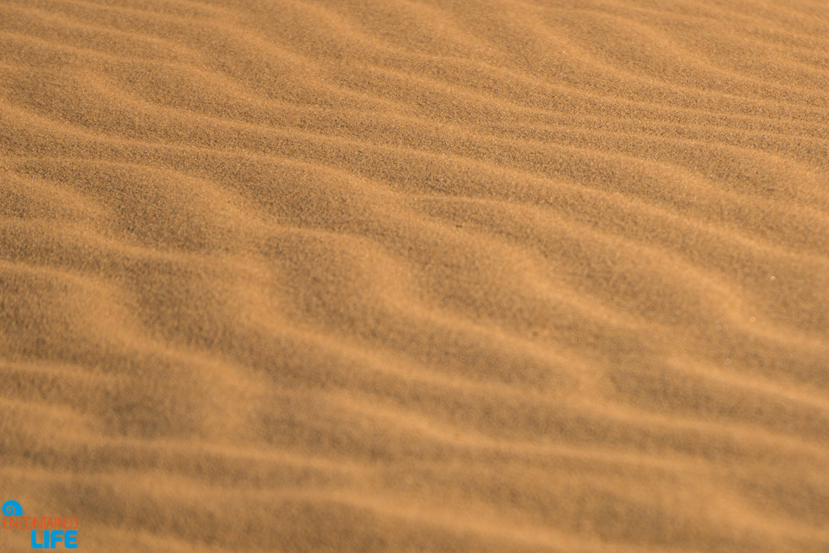 Sand waves, Visiting the Sahara Desert in Morocco, Uncontained Life