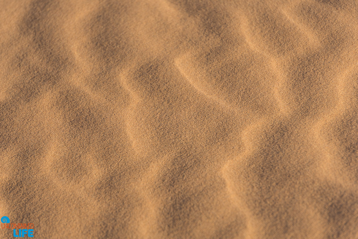 Sand waves, Visiting the Sahara Desert in Morocco, Uncontained Life