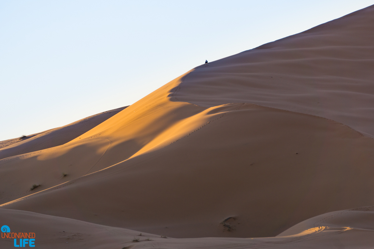 Dune, Visiting the Sahara Desert in Morocco, Uncontained Life