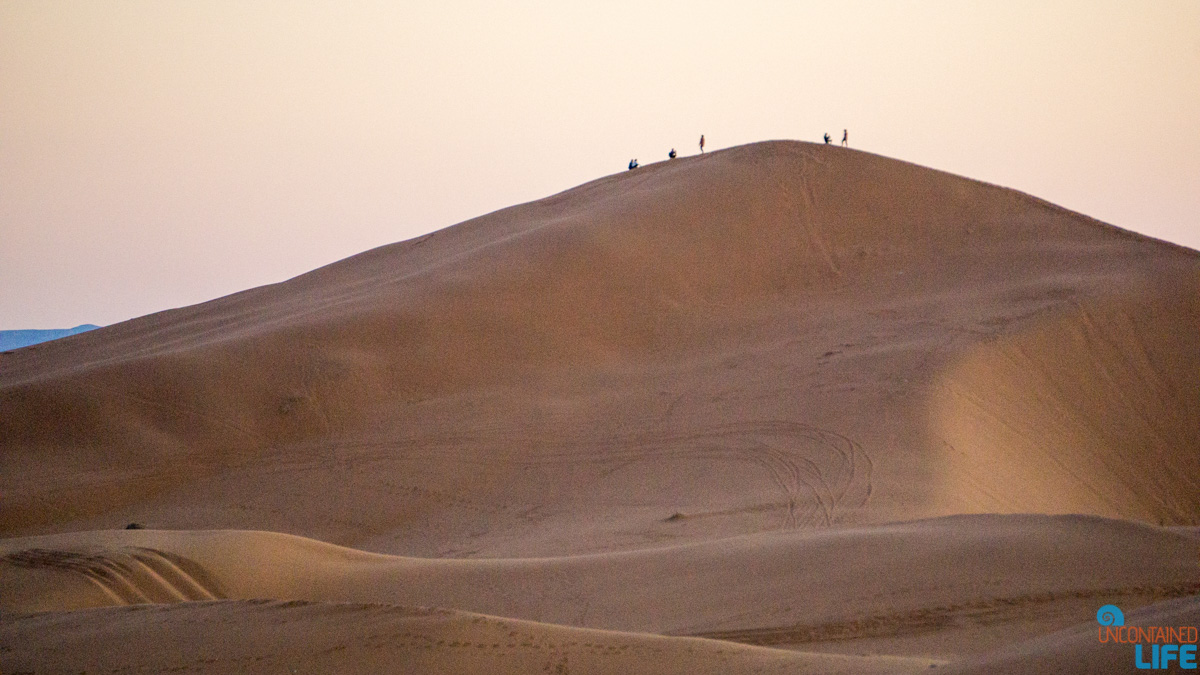 Visiting the Sahara Desert in Morocco, Uncontained Life