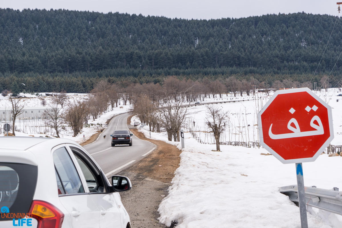 Renting a car in Morocco, Uncontained Life