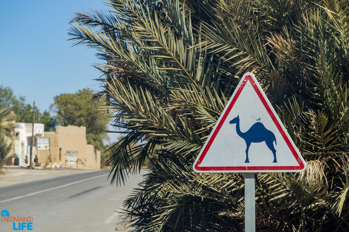 Renting a car in Morocco, Uncontained Life